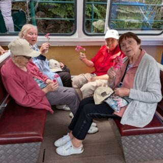 46070